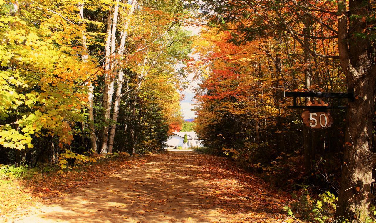 Chalet Riverain Crds Tremblant Lac Superieur Bagian luar foto